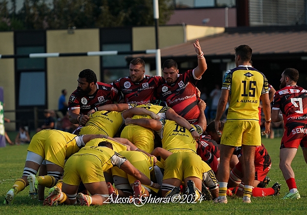 2024-08-23 ZebreOyonnax amichevole