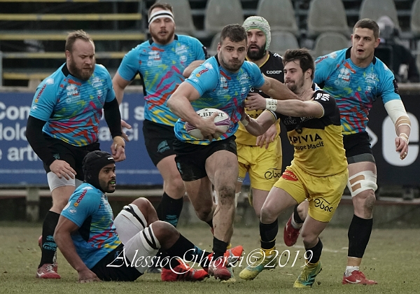 ZebreStadeRochelais20190119